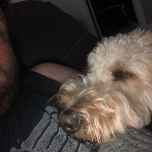 Meet your Posher, Justin